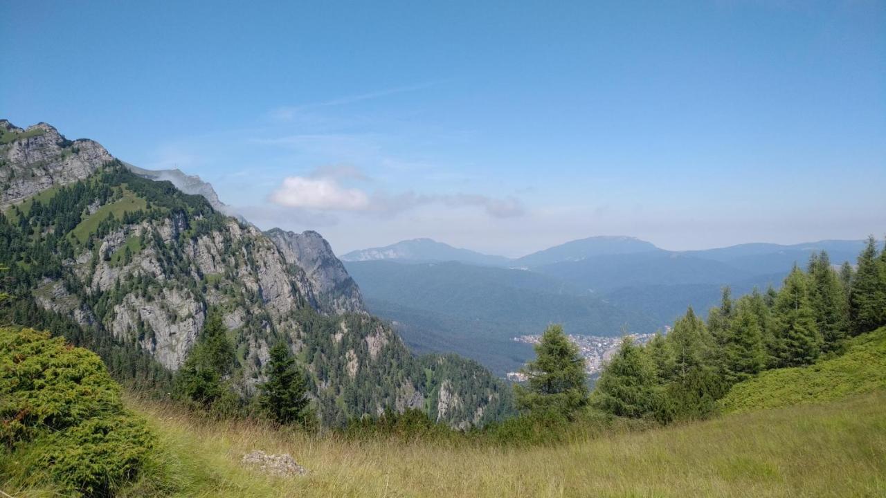 Poiana Dintre Brazi Chalet, Bucegi Panorama Sinaia Exterior foto
